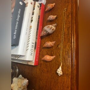 Natural Seashell Pendant Necklace With Gold Plated Chain